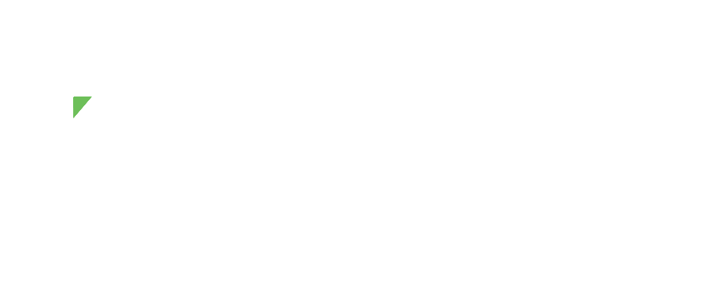 Intdev Internet Technologies Logo White
